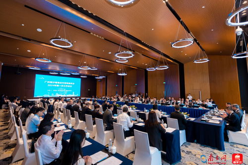 深化粵港交流機(jī)制建設(shè) 廣州南沙粵港合作咨詢委員會三周年 成績單 亮眼