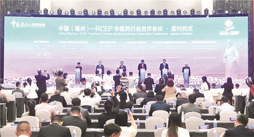 足跡遍五洲,亳藥加快 出海之旅 藥 向未來 特別報(bào)道之一